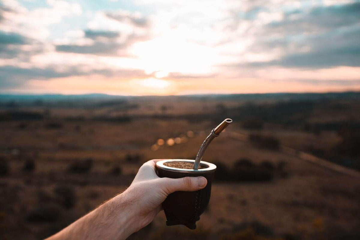 Yerba maté