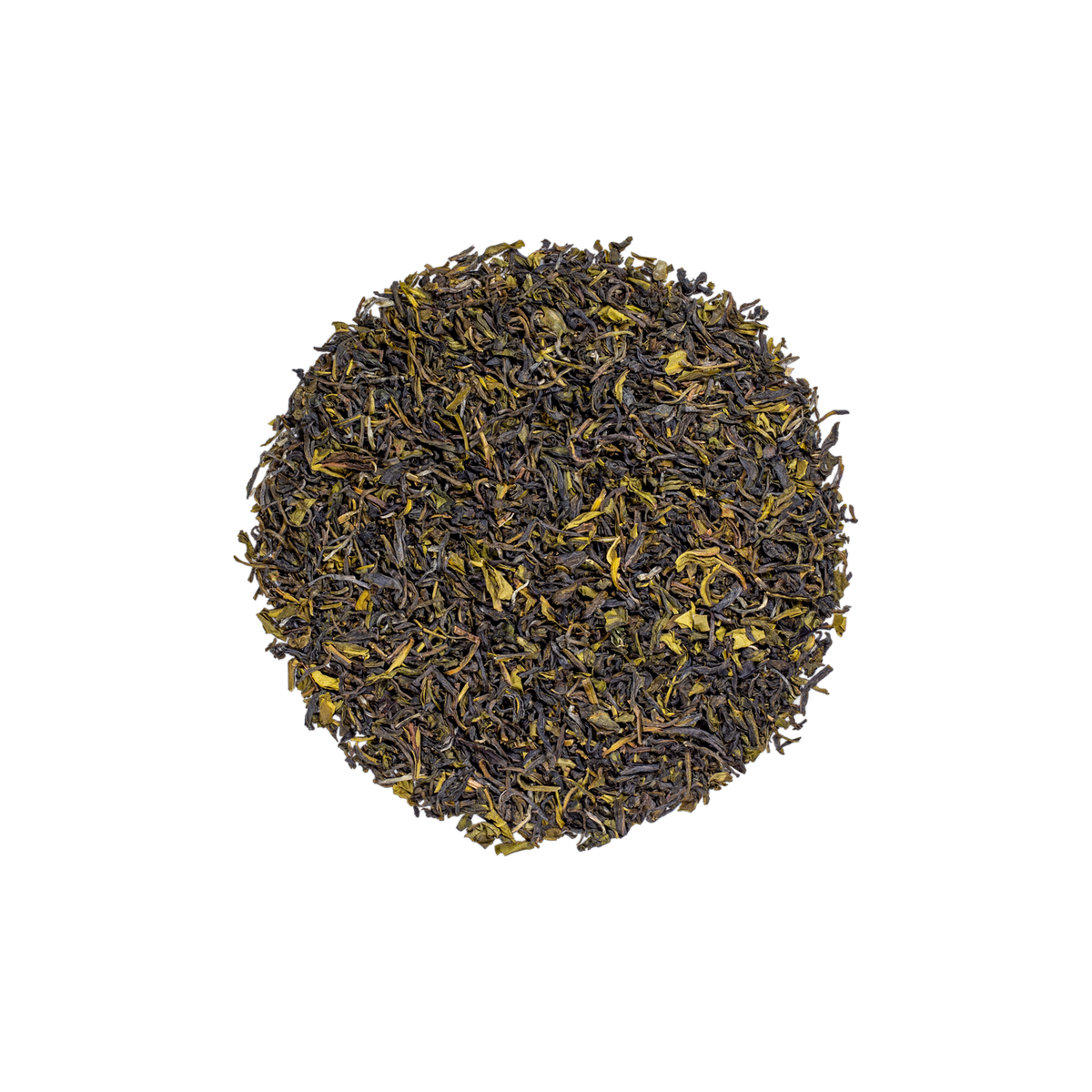 Vert Darjeeling
