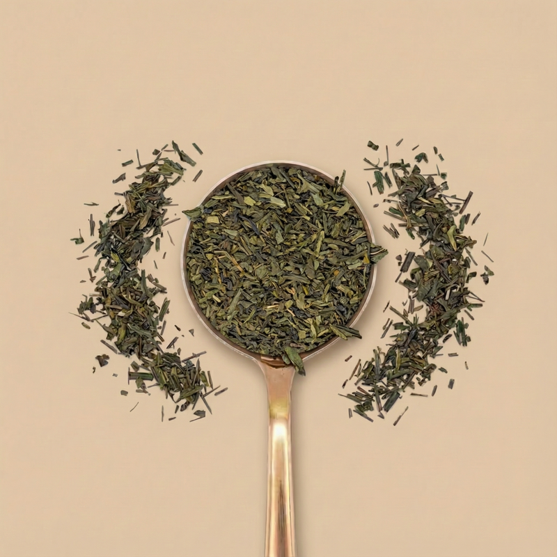 Sencha